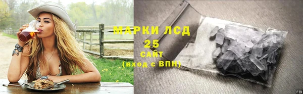стаф Каменск-Шахтинский