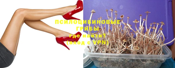 мдпв Каменка