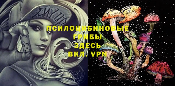 мдпв Каменка