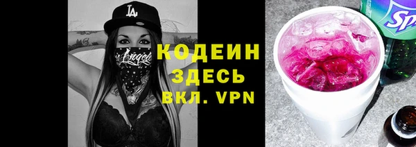 мдпв Каменка