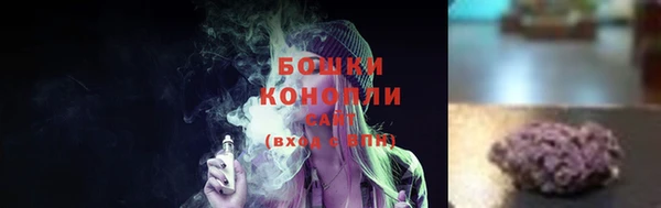 стаф Каменск-Шахтинский