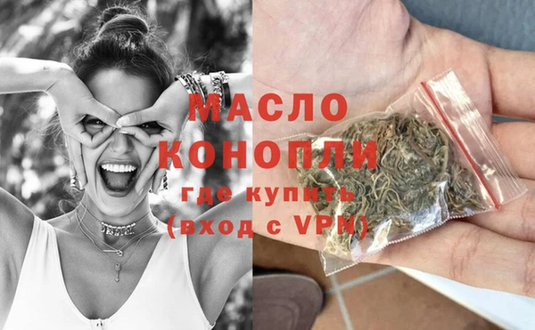 мдпв Каменка