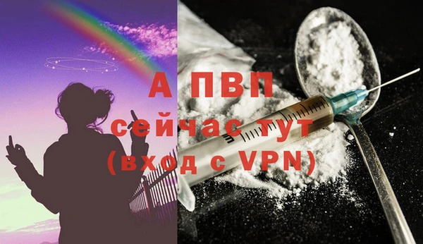 стаф Каменск-Шахтинский