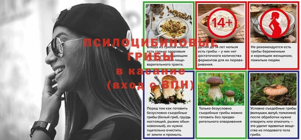 стафф Каменногорск