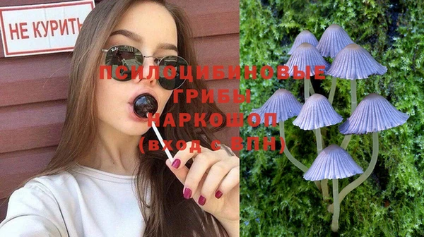 стафф Каменногорск
