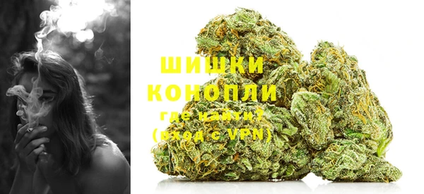 мдпв Каменка