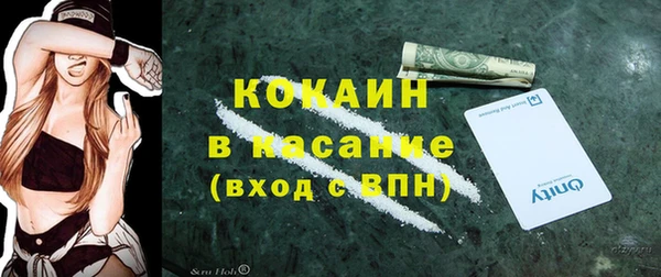 стафф Каменногорск