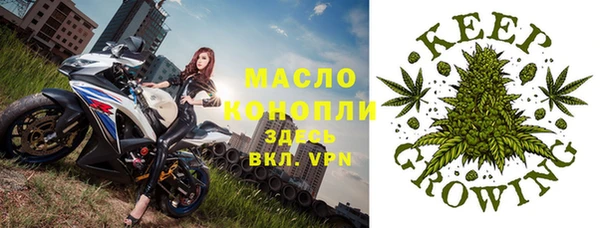 мдпв Каменка