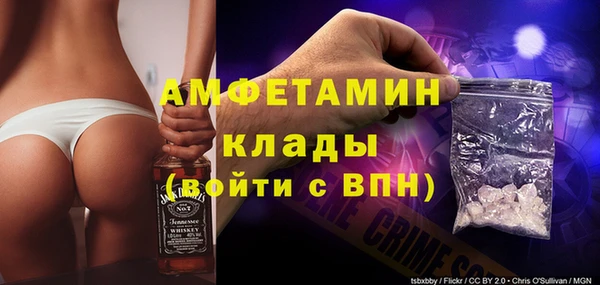 мдпв Каменка