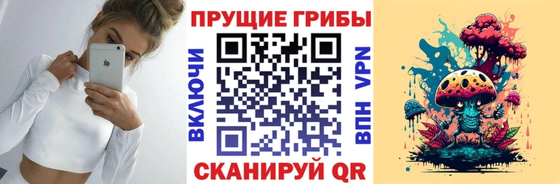 Купить закладки Ковров Галлюциногенные грибы MAGIC MUSHROOMS